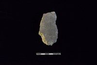 藏品(陶片)的圖片